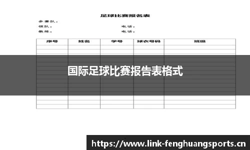 国际足球比赛报告表格式